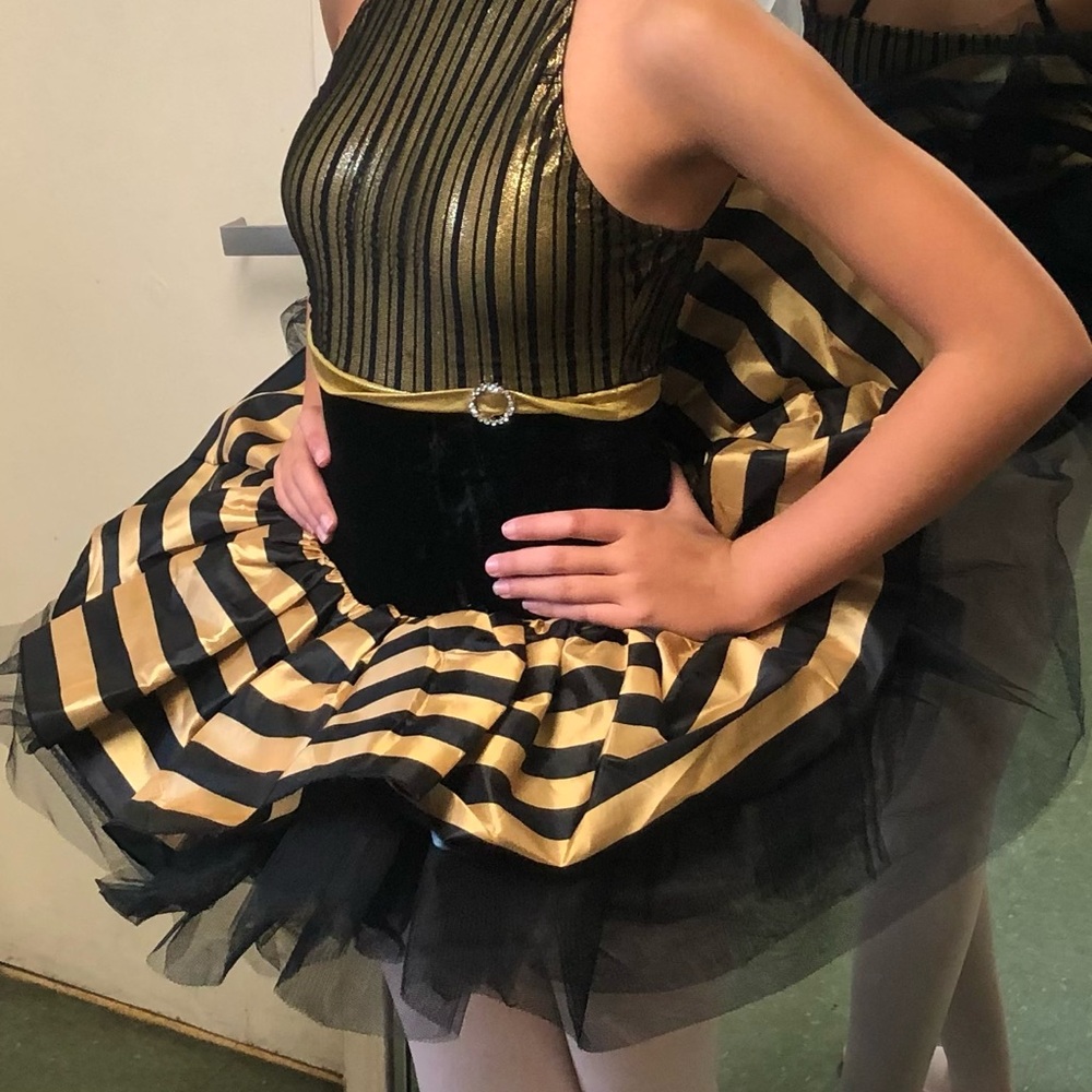 Beautiful ballet costume only used once